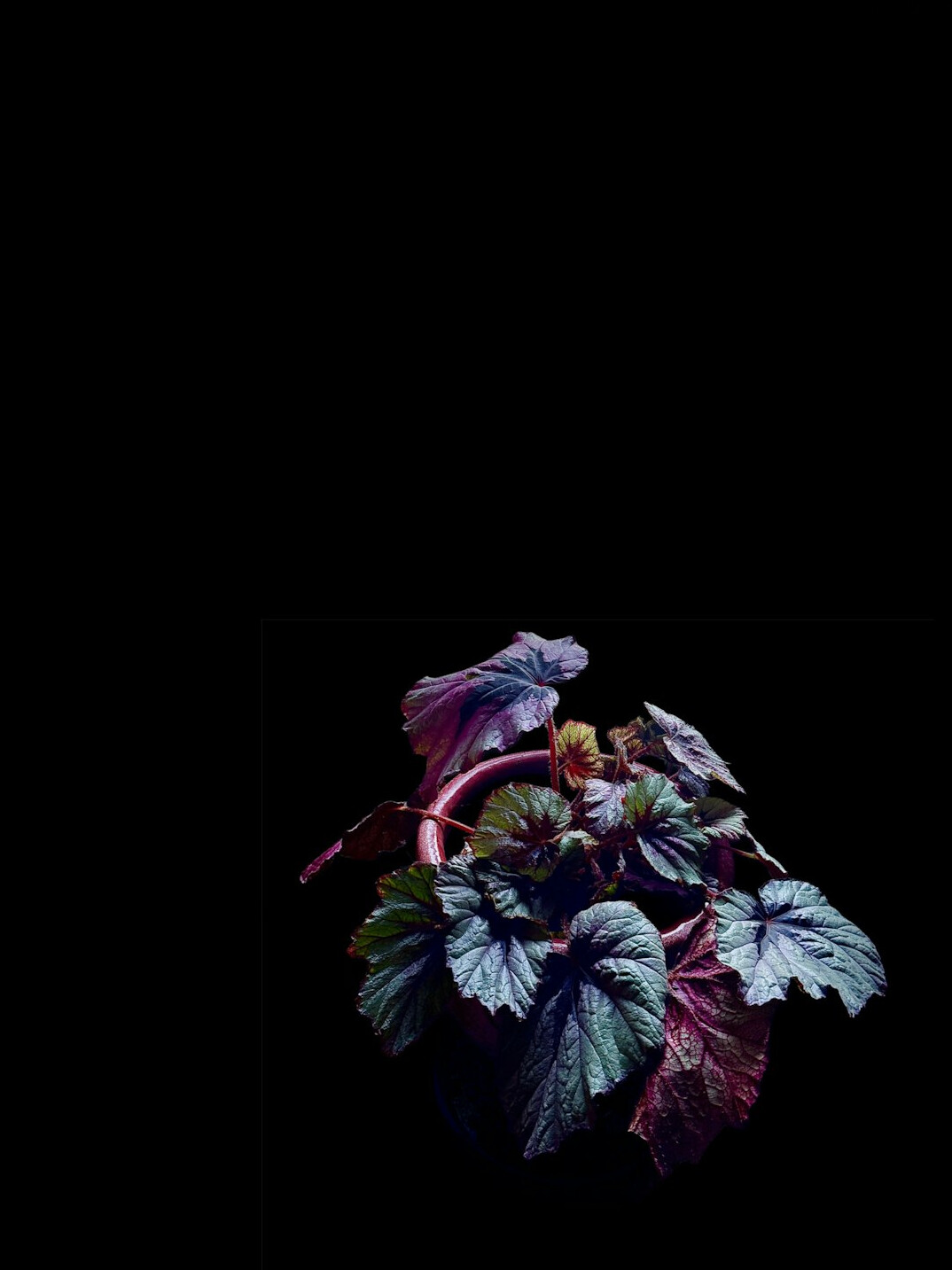 mysterious book cover